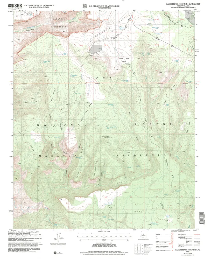 Cane Springs Mtn 7.5' Az 2004 [Map] United States Geological Survey 1