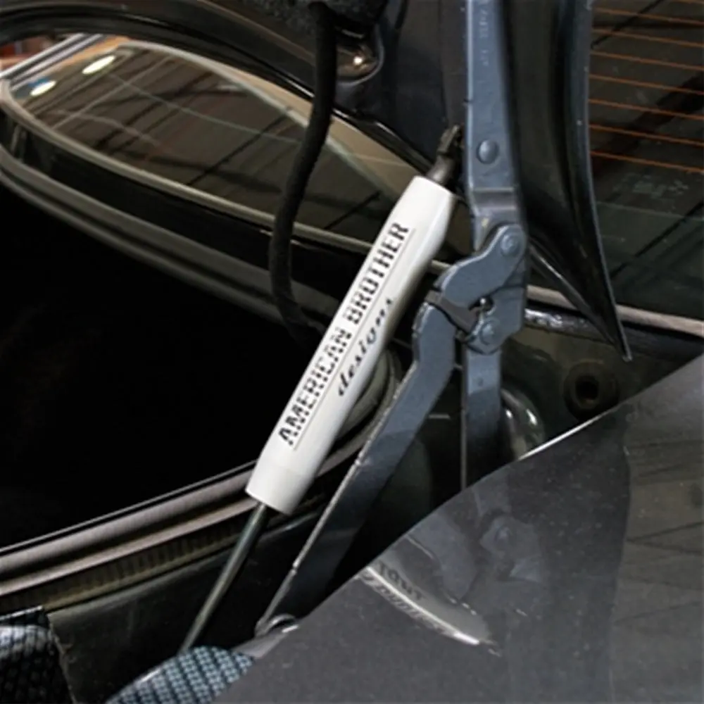 6Th Gen Camaro Zl1 Logo Trunk Shock Covers (Color-Matched) 1