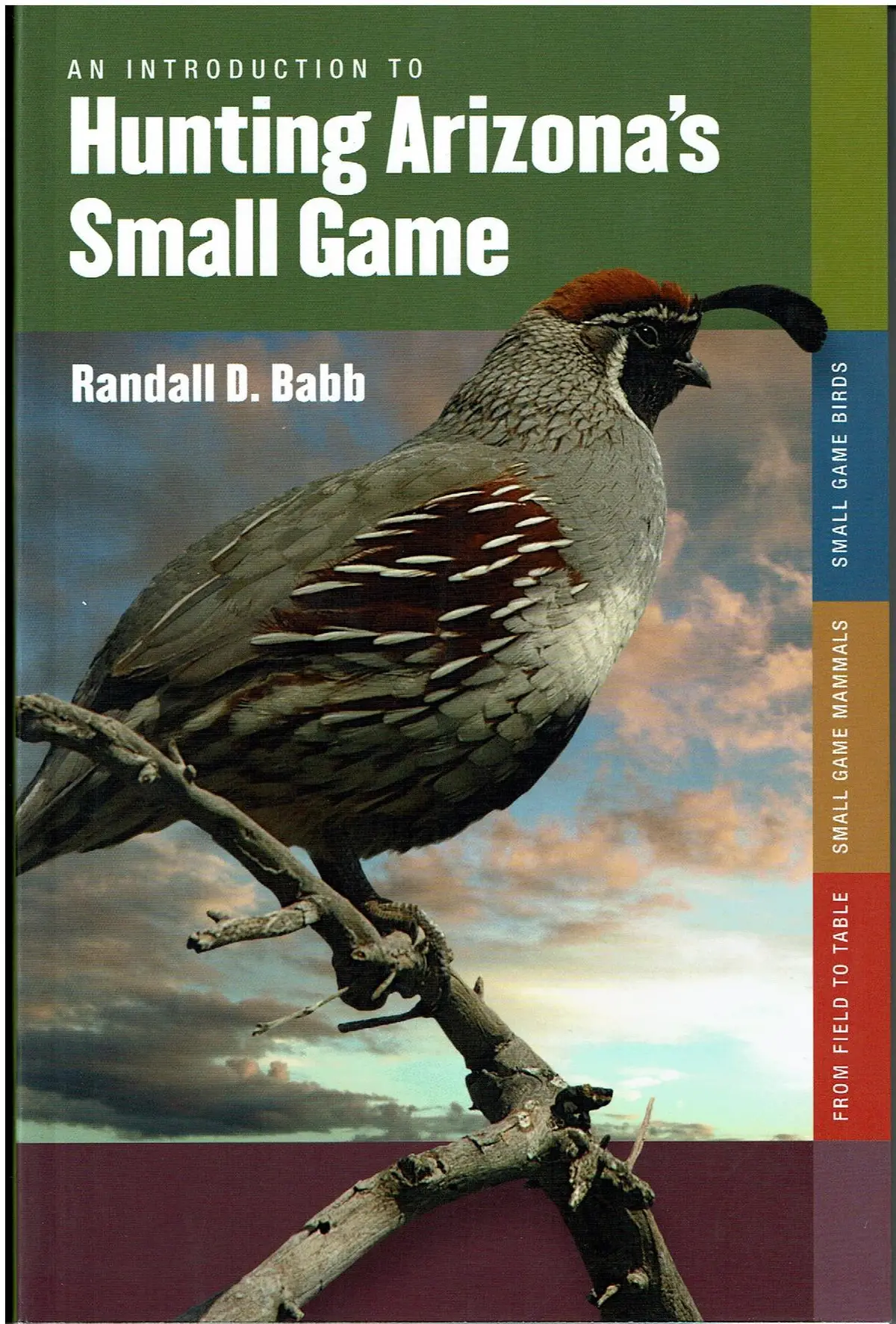 An Introduction To Hunting Arizona's Small Game [Paperback] Randall D Babb 1