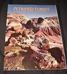 Petrified Forest The Story Behind The Sc [Paperback] Sidney R Ash 1