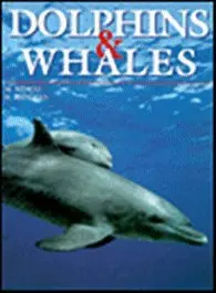 Dolphins & Whales Wuìrtz, Maurizio 1