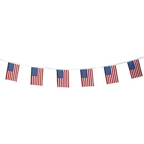 Bnf Gflgbnt Usa String Flags, 6 By 9" 1