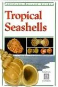 Tropical Seashells (Periplus Nature Guides) Fiene-Severns, Pauline; Severns, Mike And Dyerly, Ruth 1