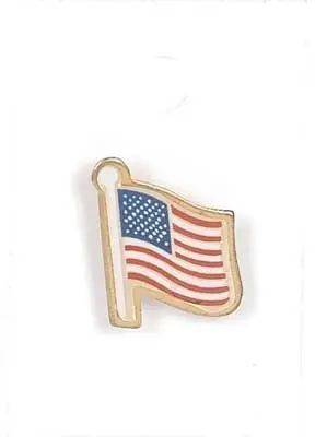 American Pride Lapel Pin (1) 1