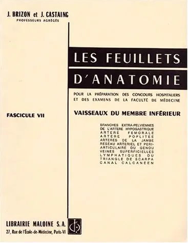 Vaisseaux Du Membre Inférieur [Paperback] 1