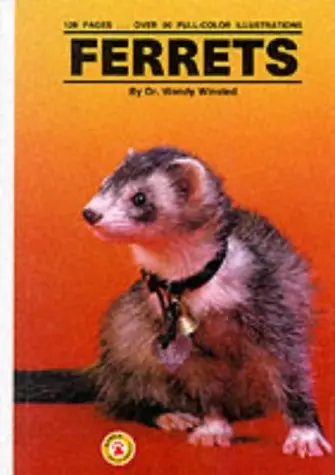 Ferrets Dr. Wendy Winsted 1