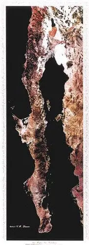 Baja Peninsula Infared From Space Satellite Map Gloss Laminated [Map] Spaceshots Inc. 1