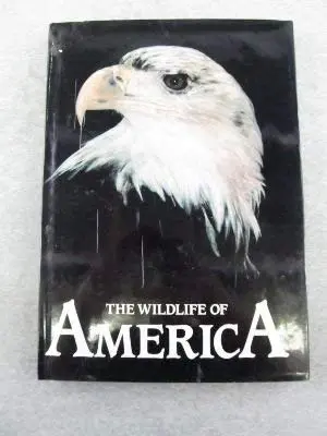 Wildlife Of America David Black And Tom Hall (Photography) 1