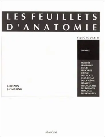 Les Feuillets D'anatomie. Thorax [Paperback] 1