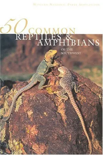 50 Common Reptiles & Amphibians Of The Southwest Hanson, Jonathan And Hanson, Roseann Beggy 1