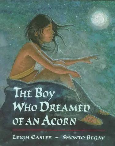 The Boy Who Dreamed Of An Acorn Leigh Casler And Shonto Begay 1