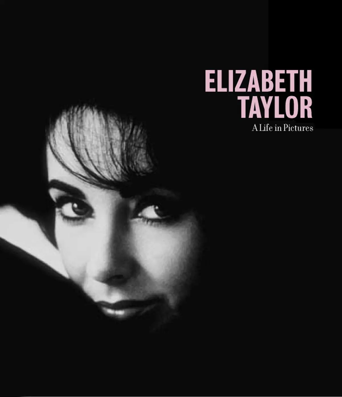 Elizabeth Taylor A Life In Pictures [Hardcover] Dherbier, Yann-Brice 1