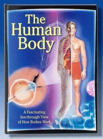 Human Body: A Fascinating See-Through View Of How Bodies Work Lorimer, Lawrence T 1