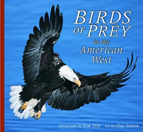 Birds Of Prey In The American West [Paperback] Tom Vezo And Richard Glinski 1
