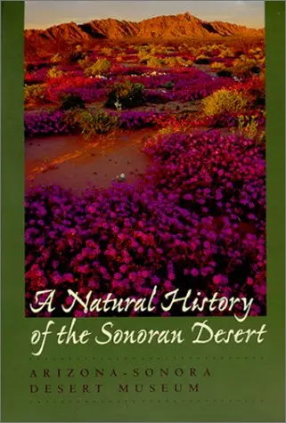 A Natural History Of The Sonoran Desert (Arizona-Sonora Desert Museum) Steven J. Phillips And Patricia Wentworth Comus 1