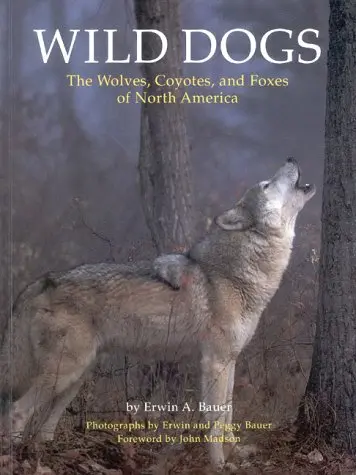 Wild Dogs: The Wolves, Coyotes, And Foxes Of North America Bauer, Erwin A. 1