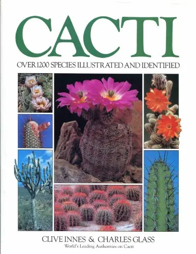 Cacti Glass, Innes 1