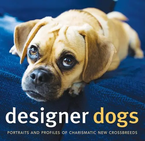 Designer Dogs: Portraits And Profiles Of Popular New Crossbreeds Caroline Coile And Anna Kuperberg 1