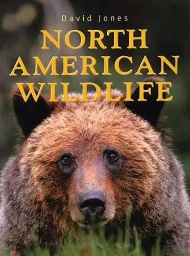 North American Wildlife Jones, David 1