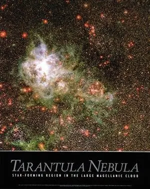 Tarantula Nebula: Star-Forming Region In The Large Magellanic Cloud Gloss Laminated [Wall Chart] Spaceshots 1