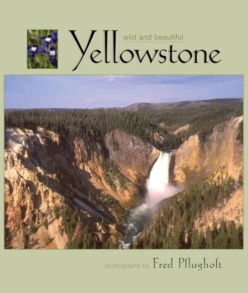 Yellowstone Wild And Beautiful [Hardcover] Photography By Fred Pflugholt 1