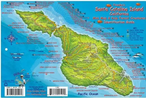 Santa Catalina Island Dive Map & Kelp Forest Creatures Guide Franko Maps Laminated Fish Card [Map] Franko Maps Ltd. 1