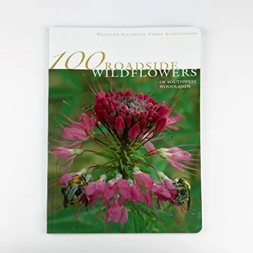 100 Roadside Wildflowers Of Southwest Woodlands [Paperback] Janice Emily Bowers 1