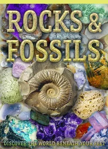 Rocks And Fossils 1