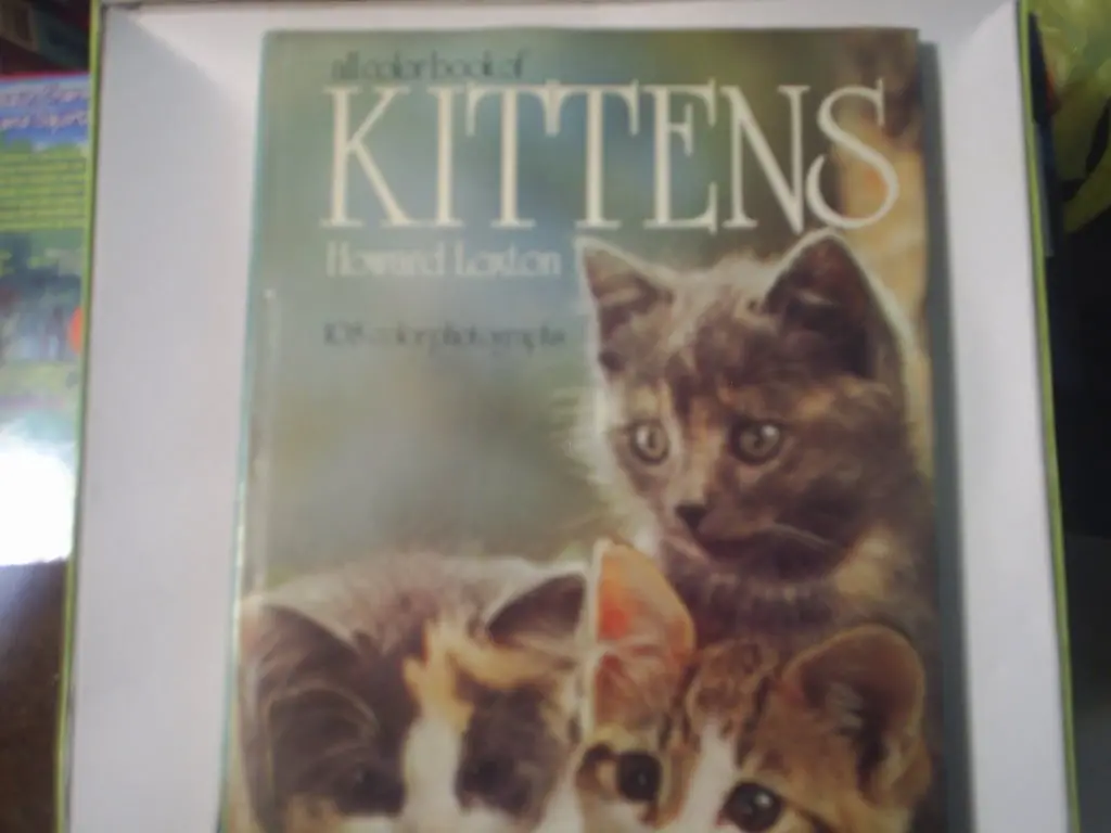 All Color Book Of Kittens Loxton, Howard 1