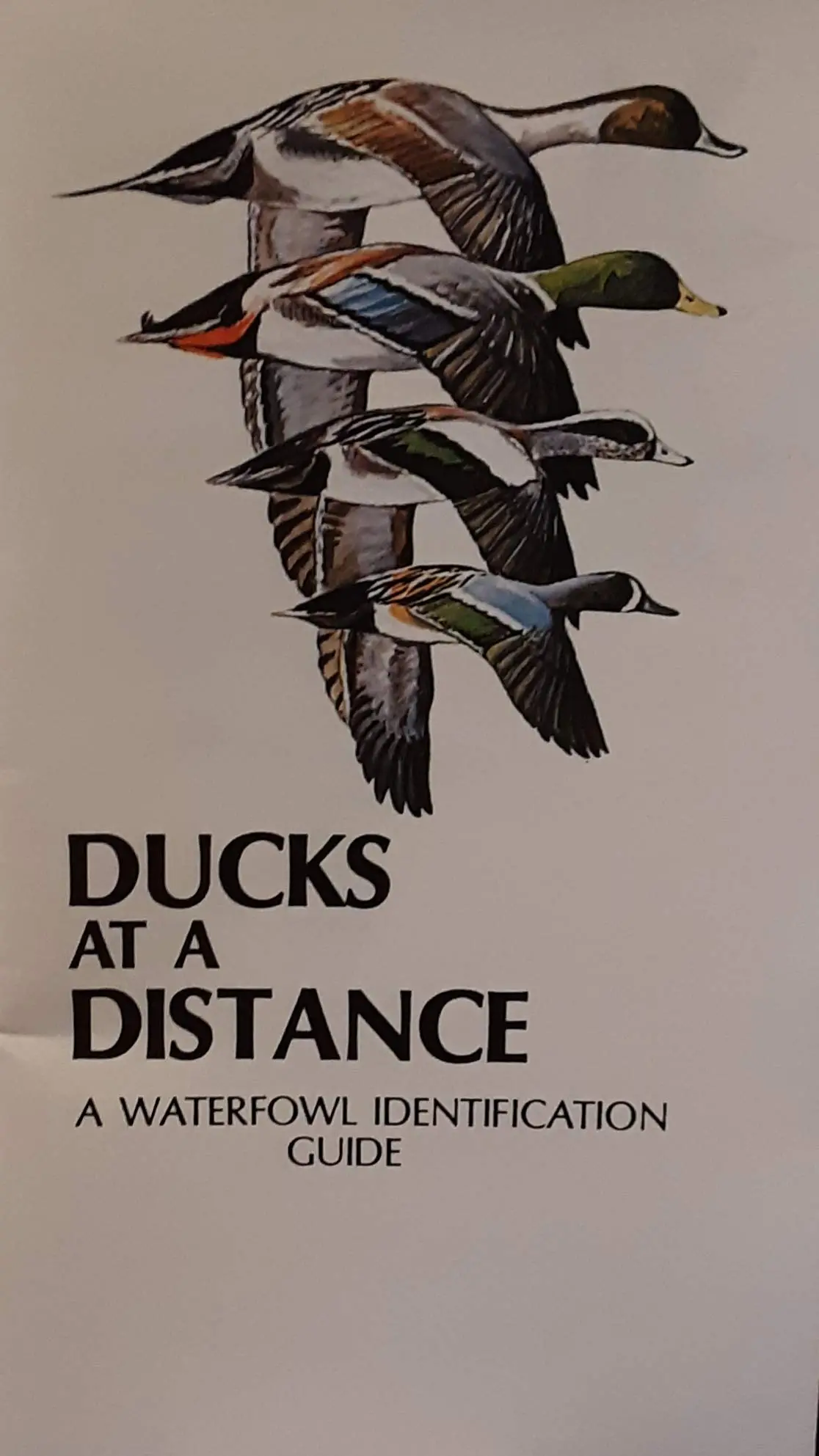 Ducks At A Distance. A Waterfowl Identification Guide. [Unknown Binding] Bob Hines 1
