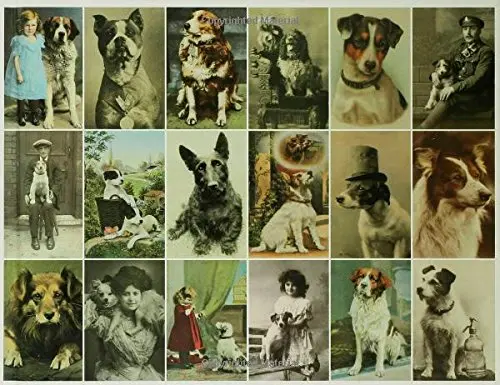 Postcard Dogs Hall, Libby 1