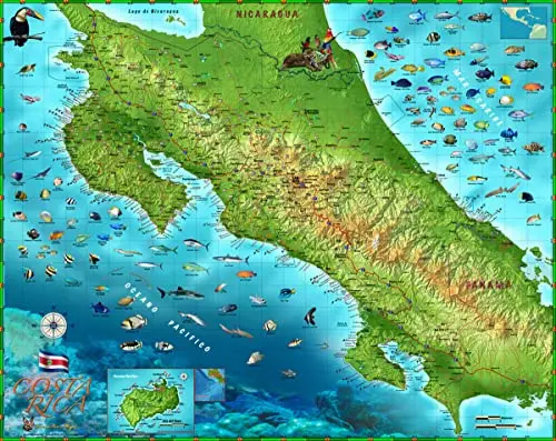 Decorative Costa Rica Wall Map *Laminated* Small 22"X27.5" [Map] Compart Maps; William C. Tipton And Xeniafox Maps 1