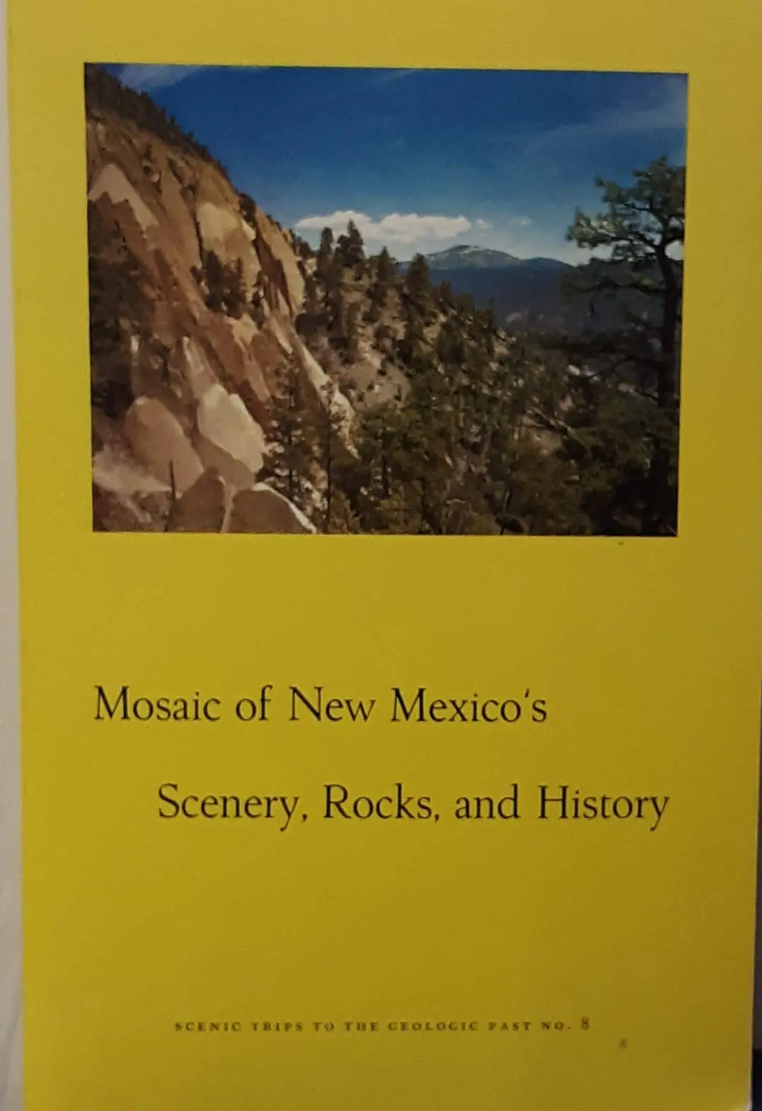 Mosaic Of New Mexico's Scenery Rocks And History [Unknown Binding] Christiansen 1