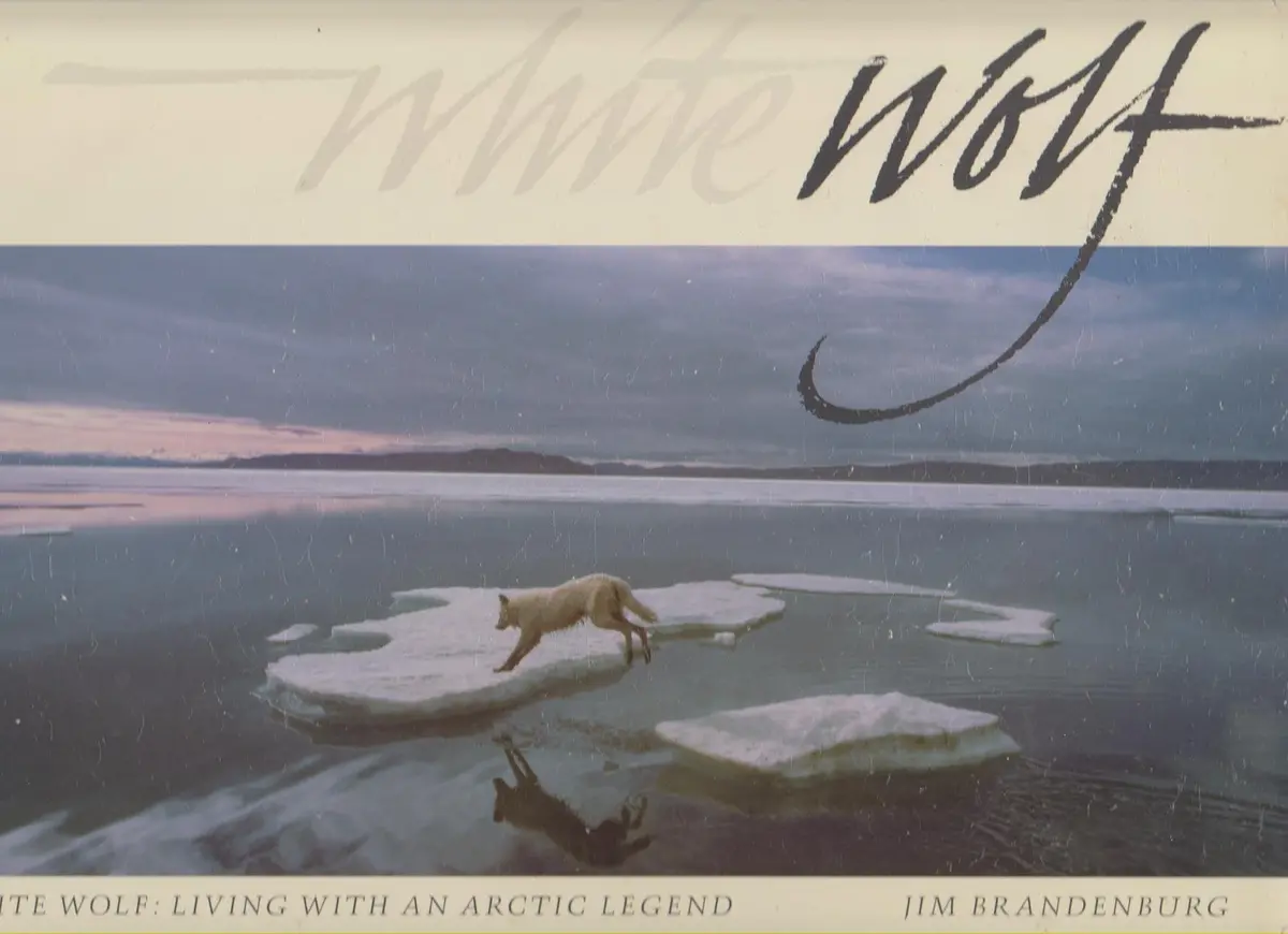 White Wolf: Living With An Arctic Legend Brandenburg, Jim And Thornton, James S. 1
