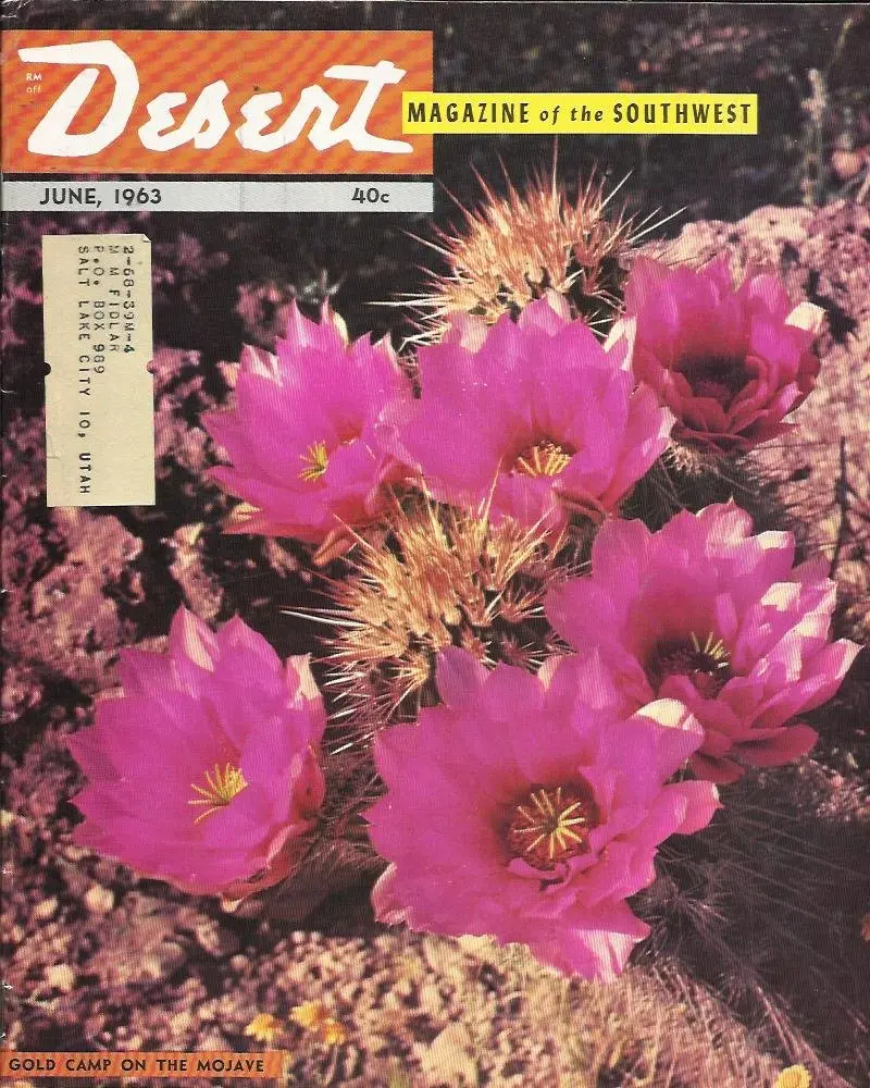 Desert - Magazine Of The Southwest (June 1963, Volume 26, Number 6) [Single Issue Magazine] Various And Eugene L. Conrotto 1