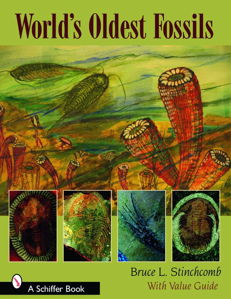World's Oldest Fossils [Paperback] Stinchcomb, Bruce L. 1