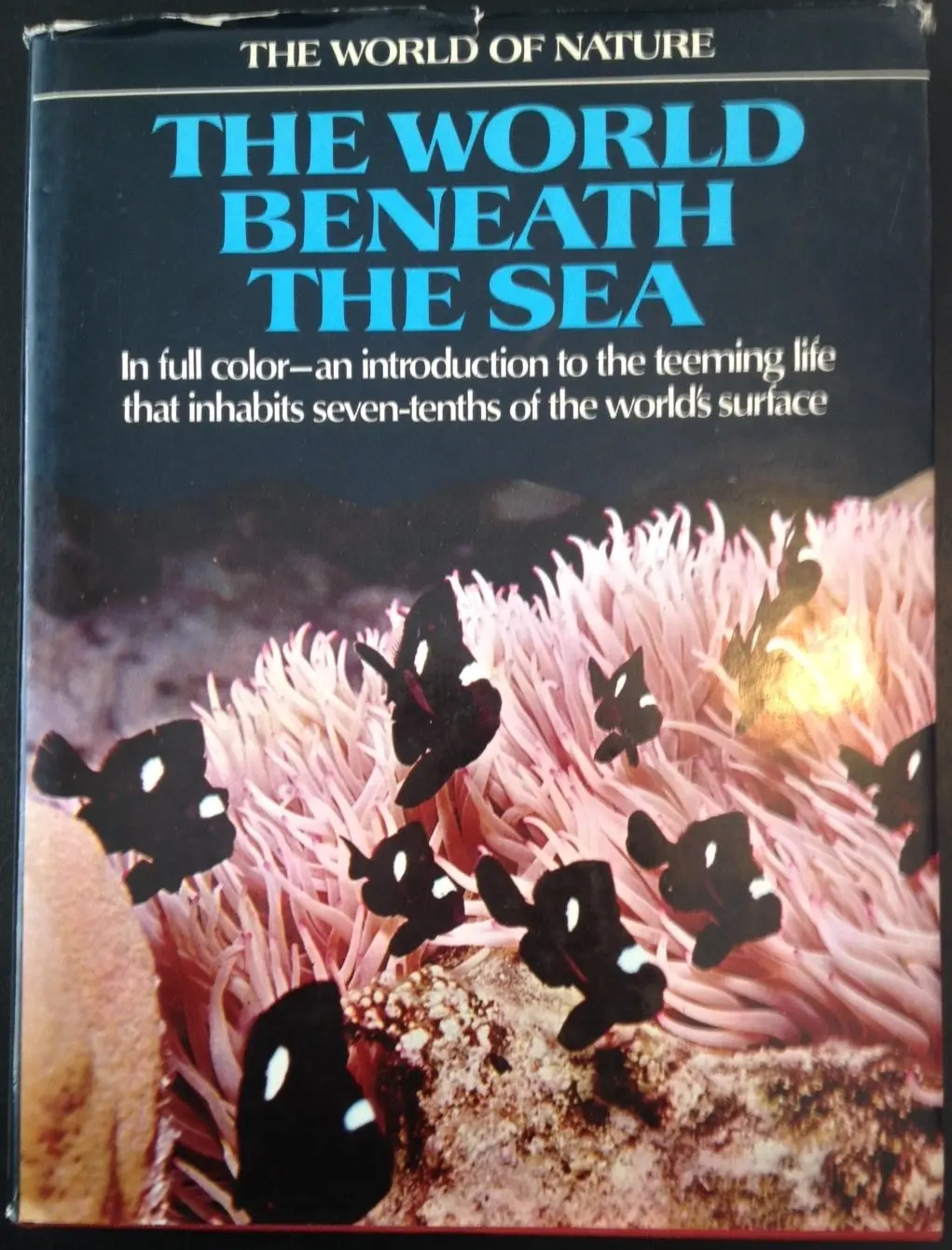 The World Of Nature The World Beneath The Sea [Hardcover] M. Torchio And Illustrated 1