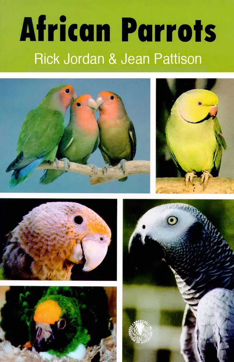 African Parrots [Paperback] Jordan, Rick And Pattison, Jean 1