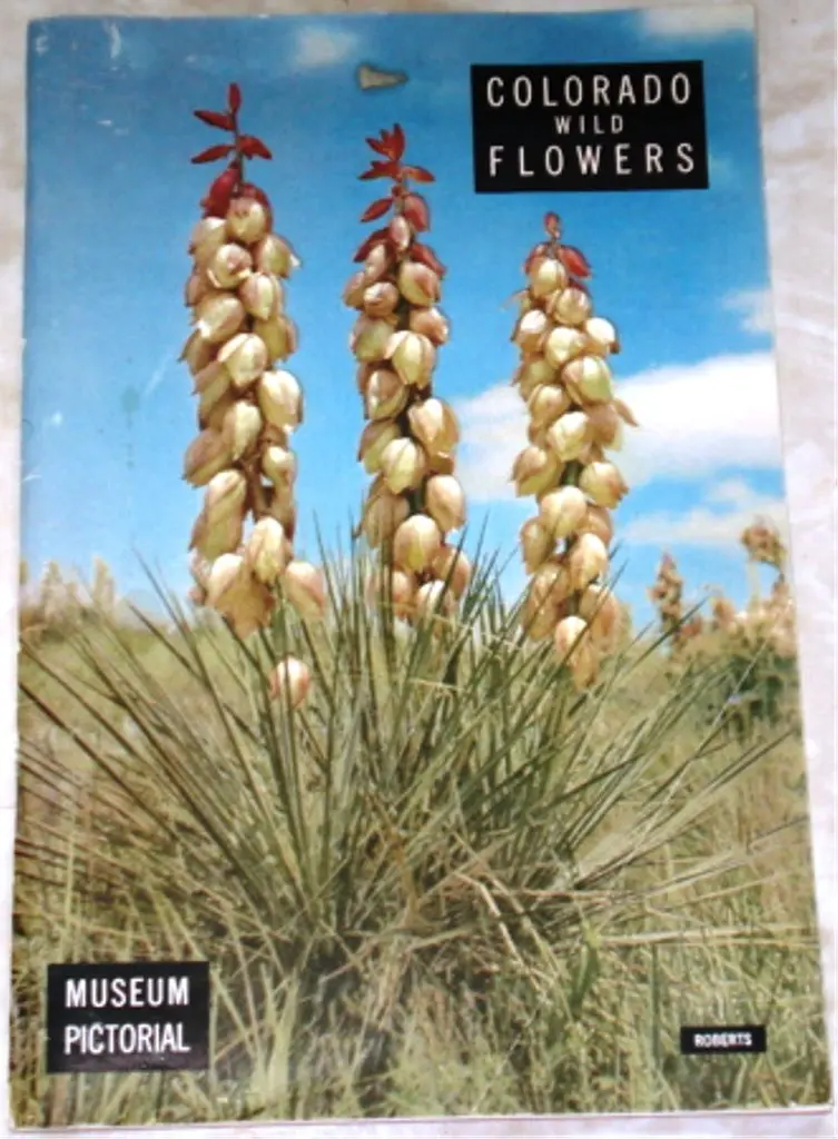 Colorado Wild Flowers: Museum Pictorial (From The Denver Museum Of Natural History) [Unknown Binding] Unknown Author 1