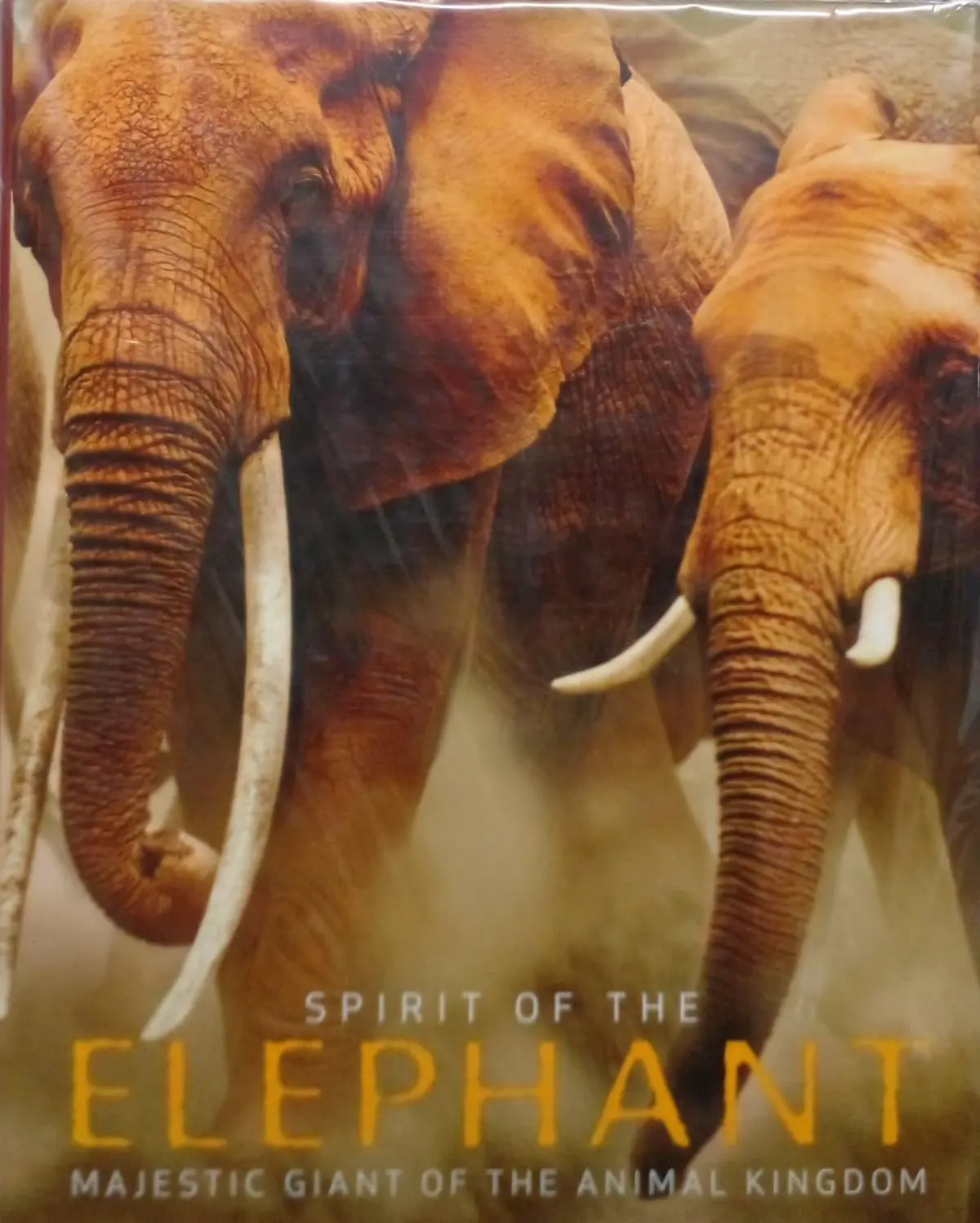 Spirit Of The Elephant: Majestic Giant Of The Animal Kingdom [Hardcover] Davies, Gill 1