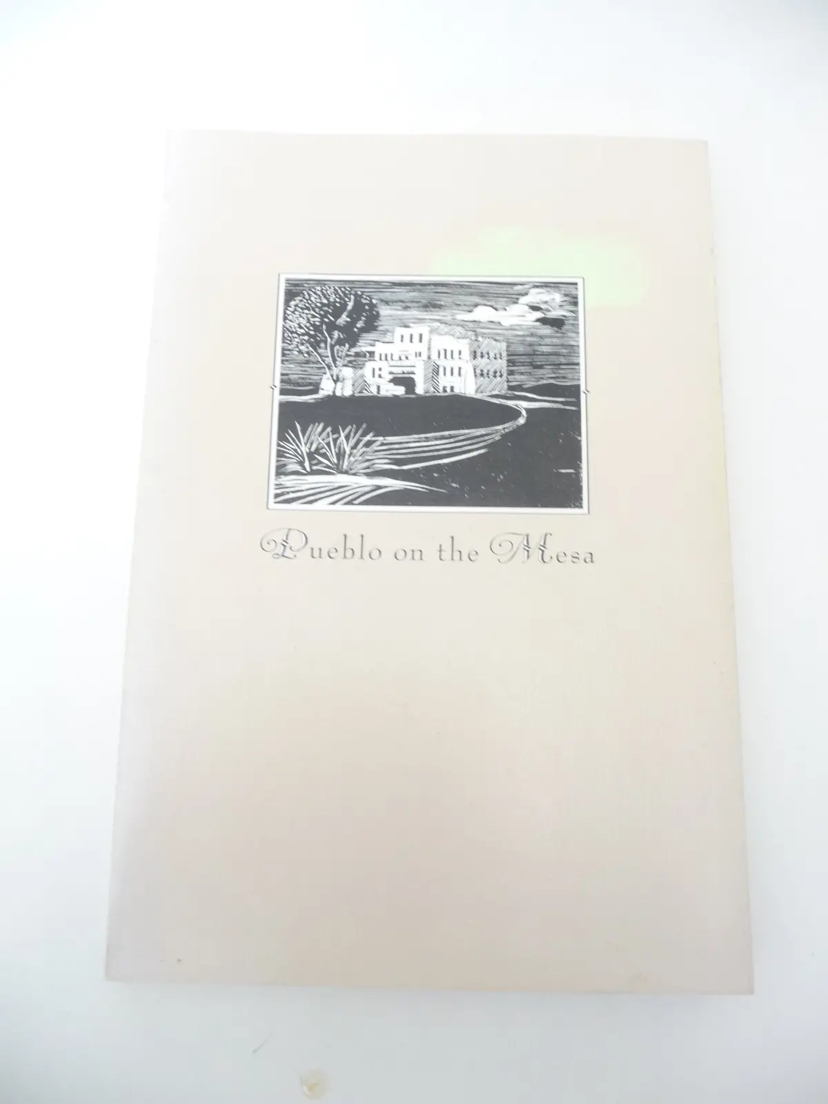 Pueblo On The Mesa: The First Fifty Years At The University Of New Mexico Hughes, Dorothy B 1