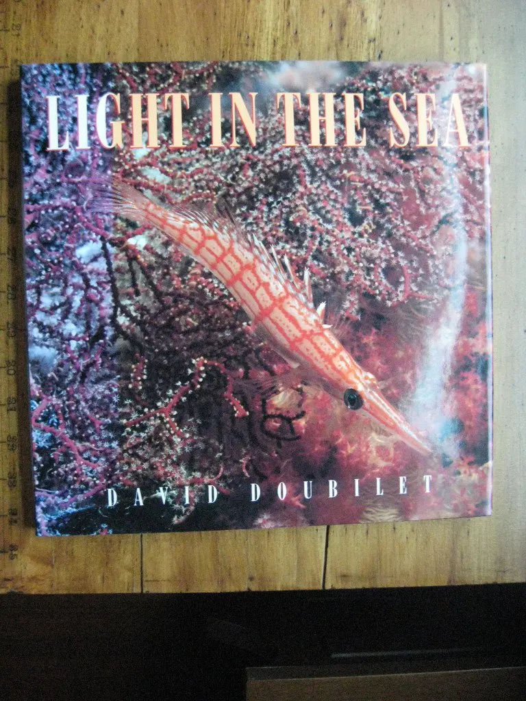 Light In The Sea David Doubilet 1