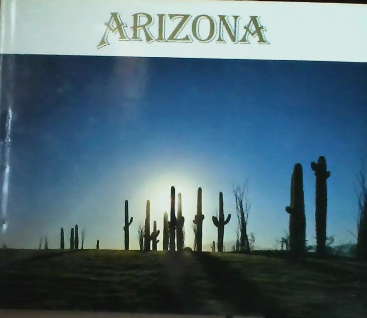 Arizona [Hardcover] Thure, Karen 1