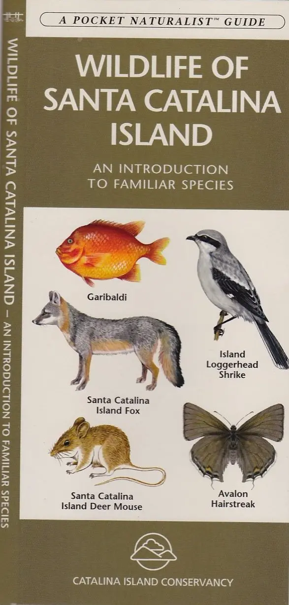 Wildlife Of Santa Catalina Island [Pamphlet] Catalina Island Conservancy 1
