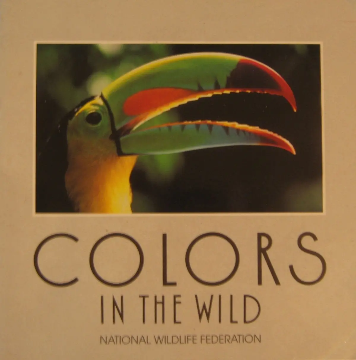 Colors In The Wild National Wildlife Federation 1