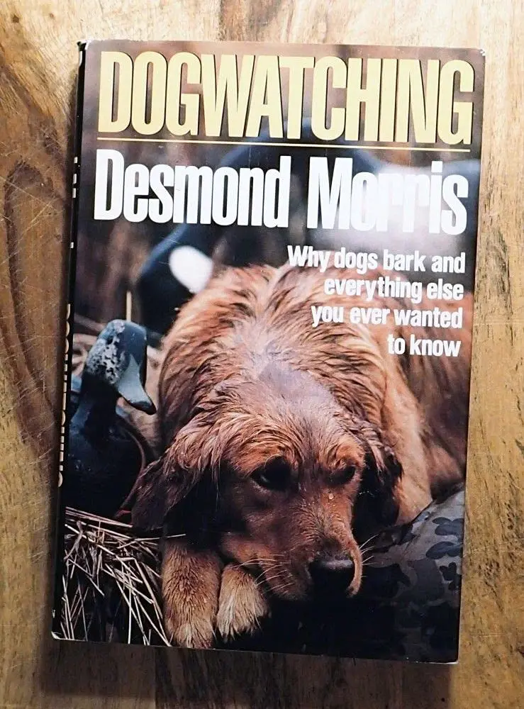 Dogwatching Morris, Desmond 1