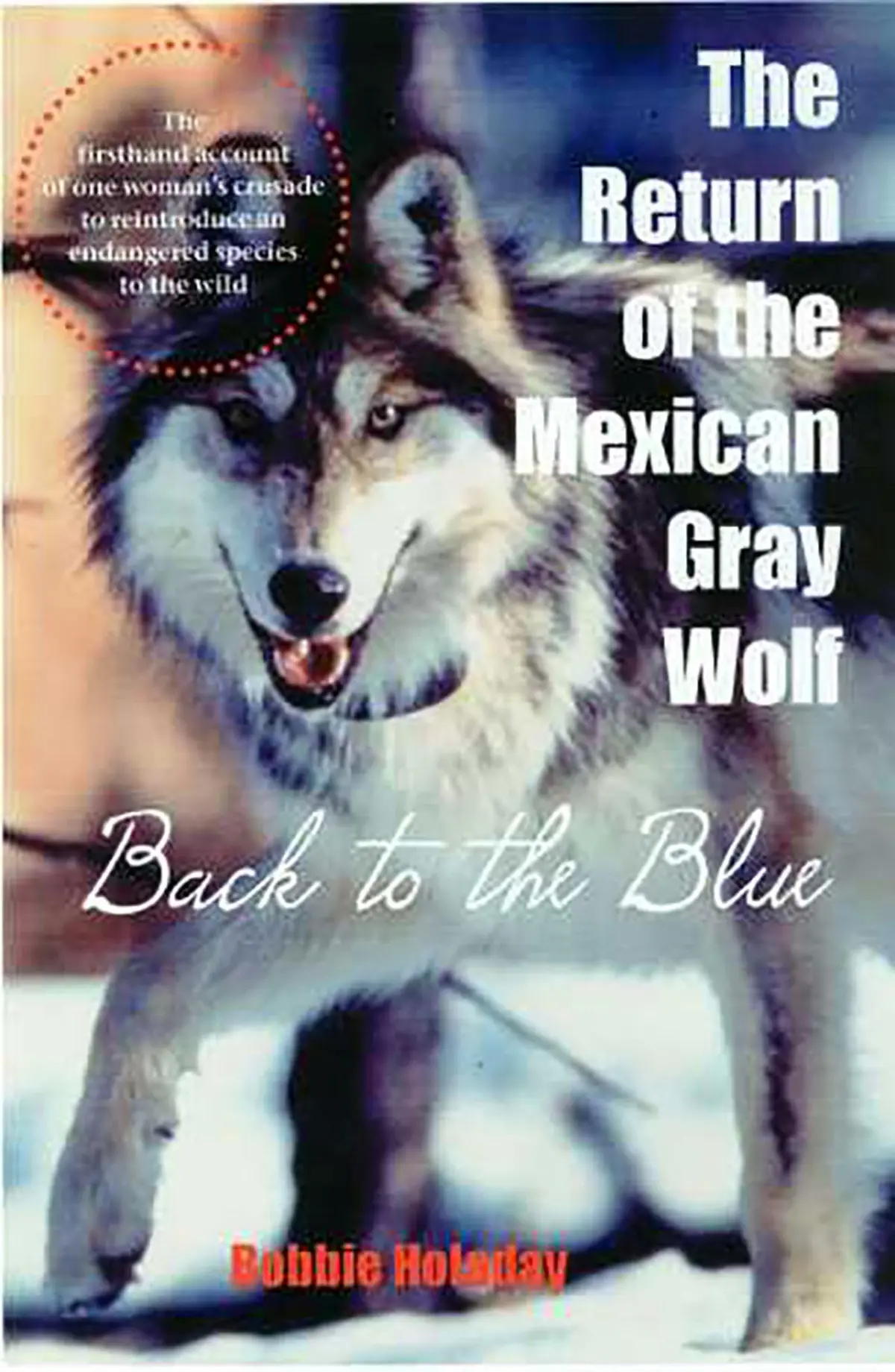 The Return Of The Mexican Gray Wolf: Back To The Blue [Paperback] Holaday, Bobbie 1