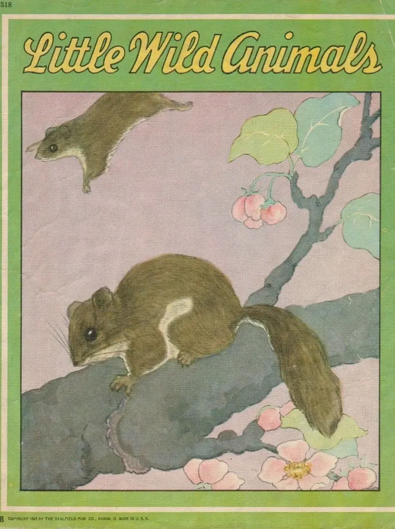 Little Wild Animals [Paperback] Anonymous 1