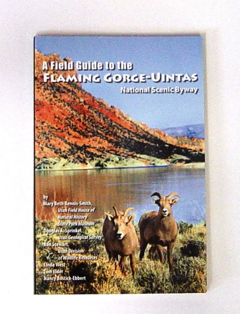 A Field Guide To The Flaming Gorge-Uintas National Scenic Byway [Paperback] Mary-Beth-Bennis-Smith 1