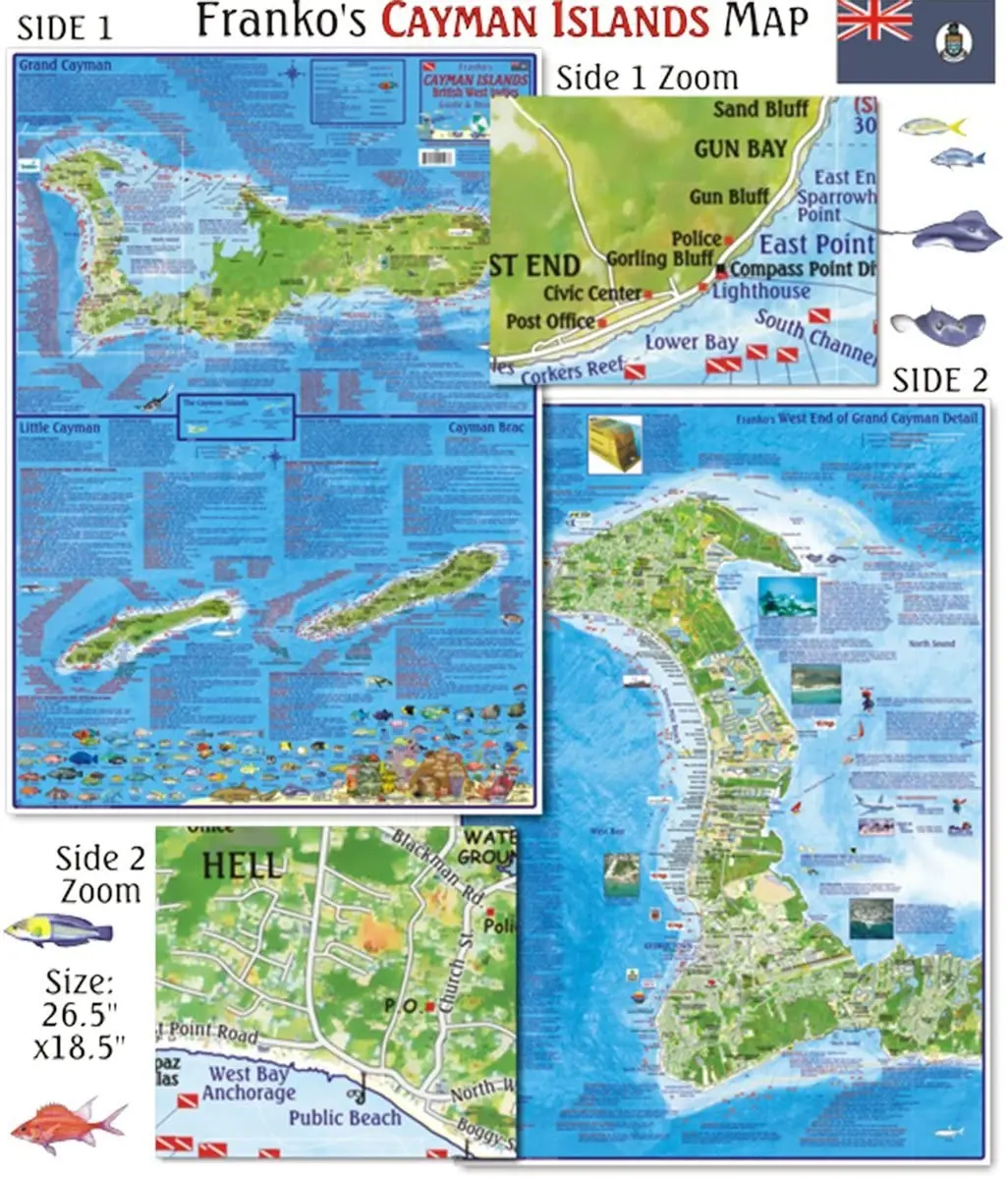 Franko Maps Cayman Islands Dive Creature Guide 18 X 26 Inch 1